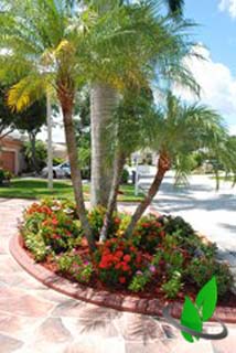 Florida Landscaping Companies