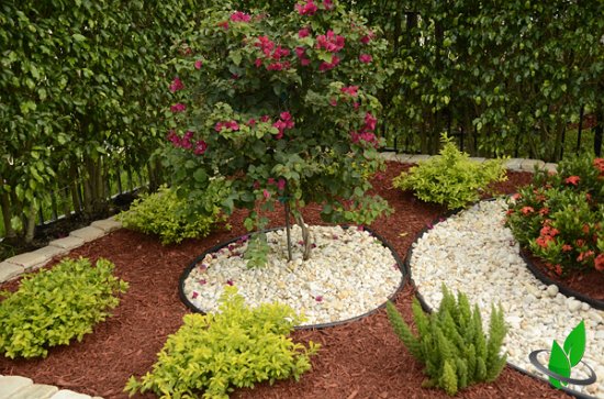 After - Nice combination between plants: Bougainvillea Tree, Gold Mound and Foxtail Fern. The end result is a charming Flower Bed.